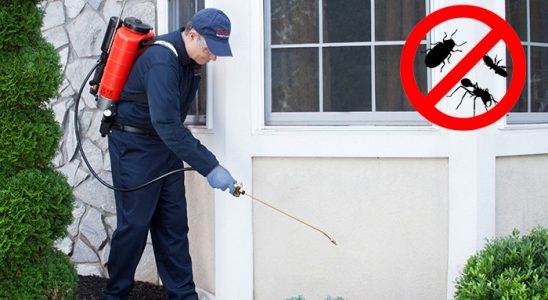 Hacılar Tahtakurusu İlaçlama böcek ilaçlama ve haşere kontrolü — ilaclama-tr.com